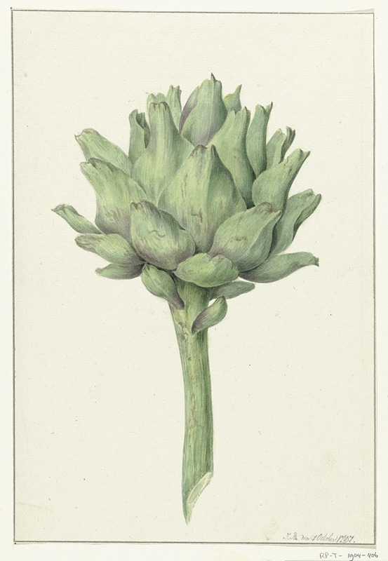 Artisjok - Jean Bernard