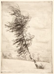 Berk in de wind - Józef Pankiewicz