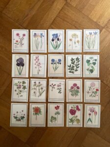Bloemen- en natuurstudies – Deel 2 – Anselmus Boëtius de Boodt – A6