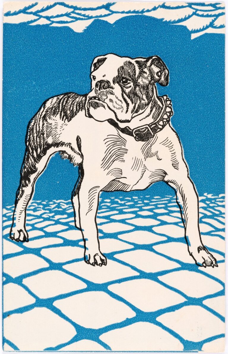 Buldog - Moriz Jung