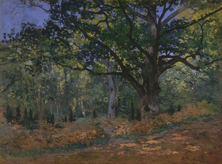 De Bodmer-eik in het bos van Fontainebleau - Claude Monet