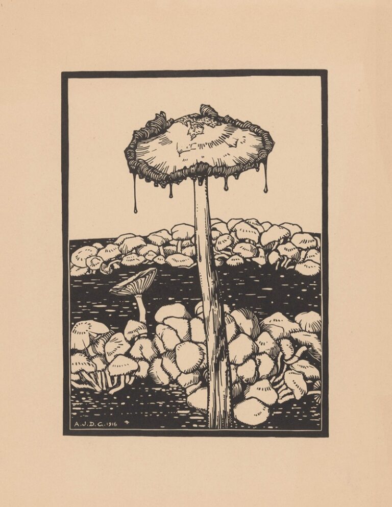 Druipende paddenstoel - Julie de Graag