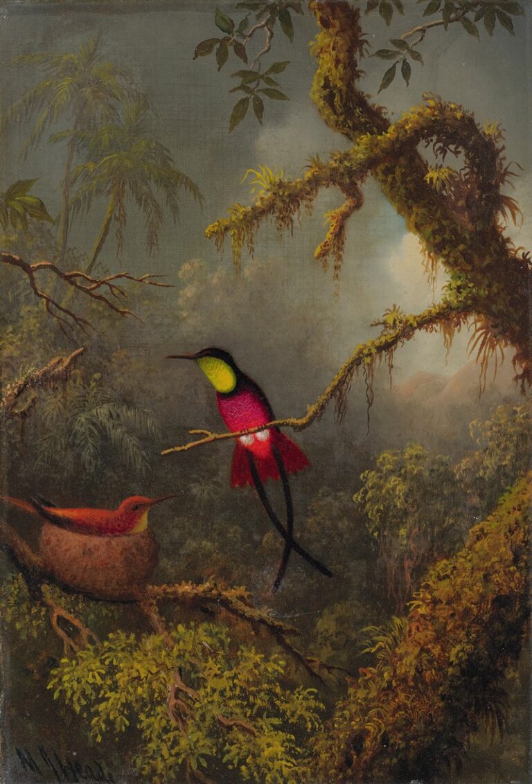 Een paar nestelende karmijnkolibries - Martin Johnson Heade
