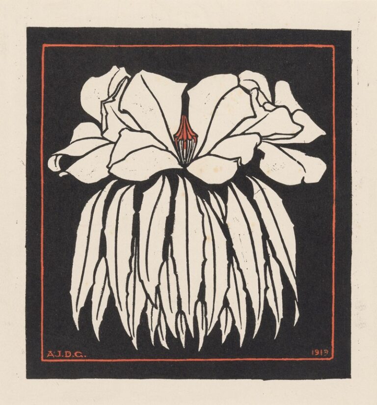 Godetia - Julie de Graag
