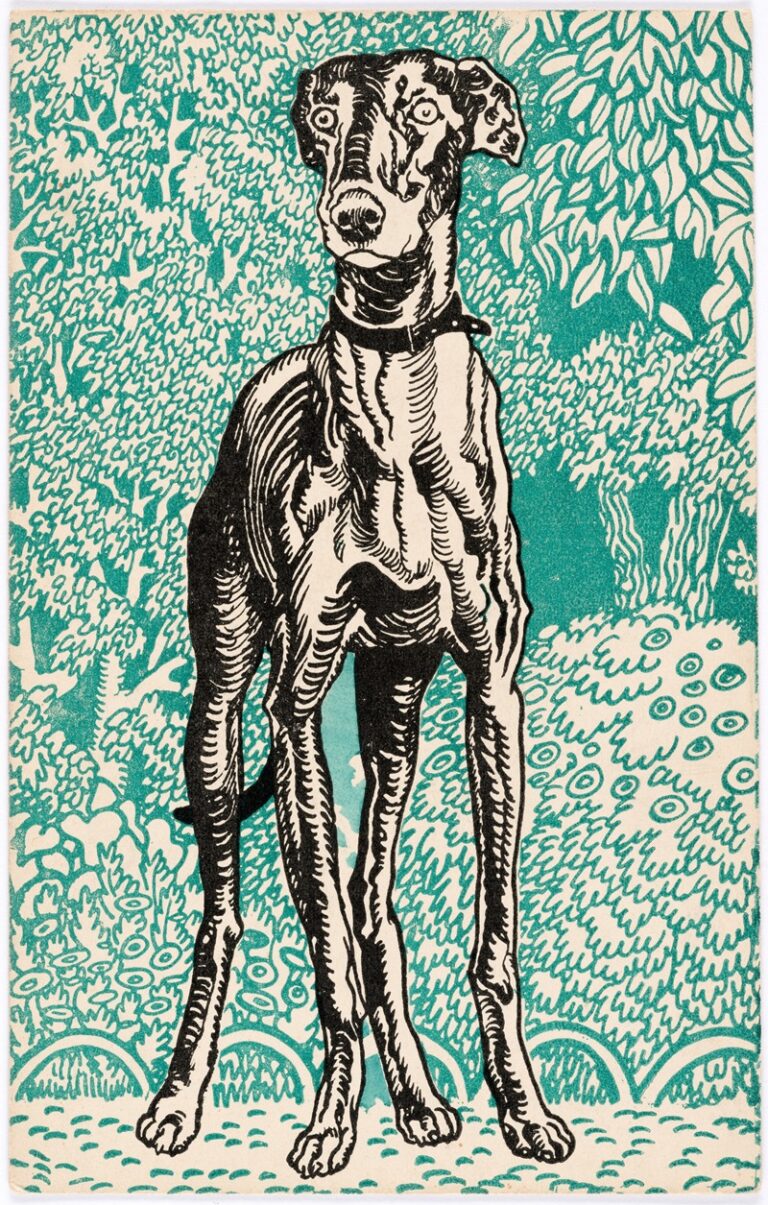 Greyhound - Moriz Jung