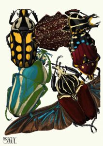 Insecten Plaat 03 - Emile-Allain Séguy