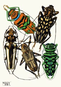 Insecten Plaat 15 - Emile-Allain Séguy