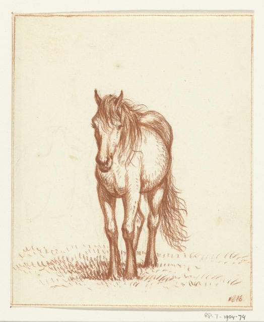 Jean Bernard paard staand van voren