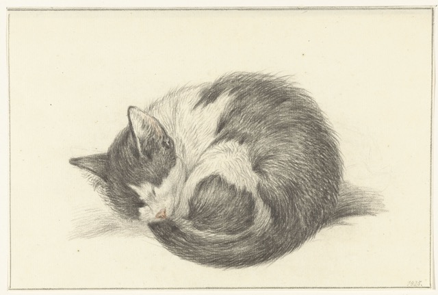 Opgerold liggende, slapende kat - Jean Bernard