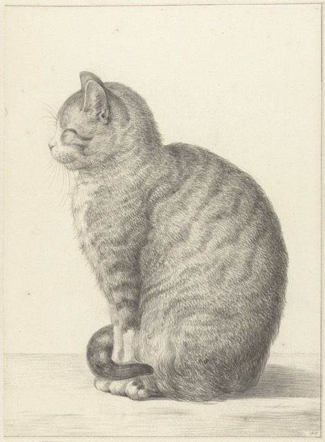 Zittende kat, naar links