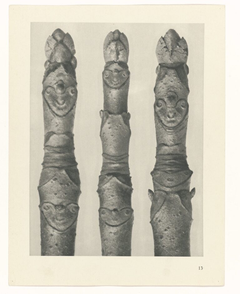 Knoppen met gezichtachtige stengelknopen - Karl Blossfeldt