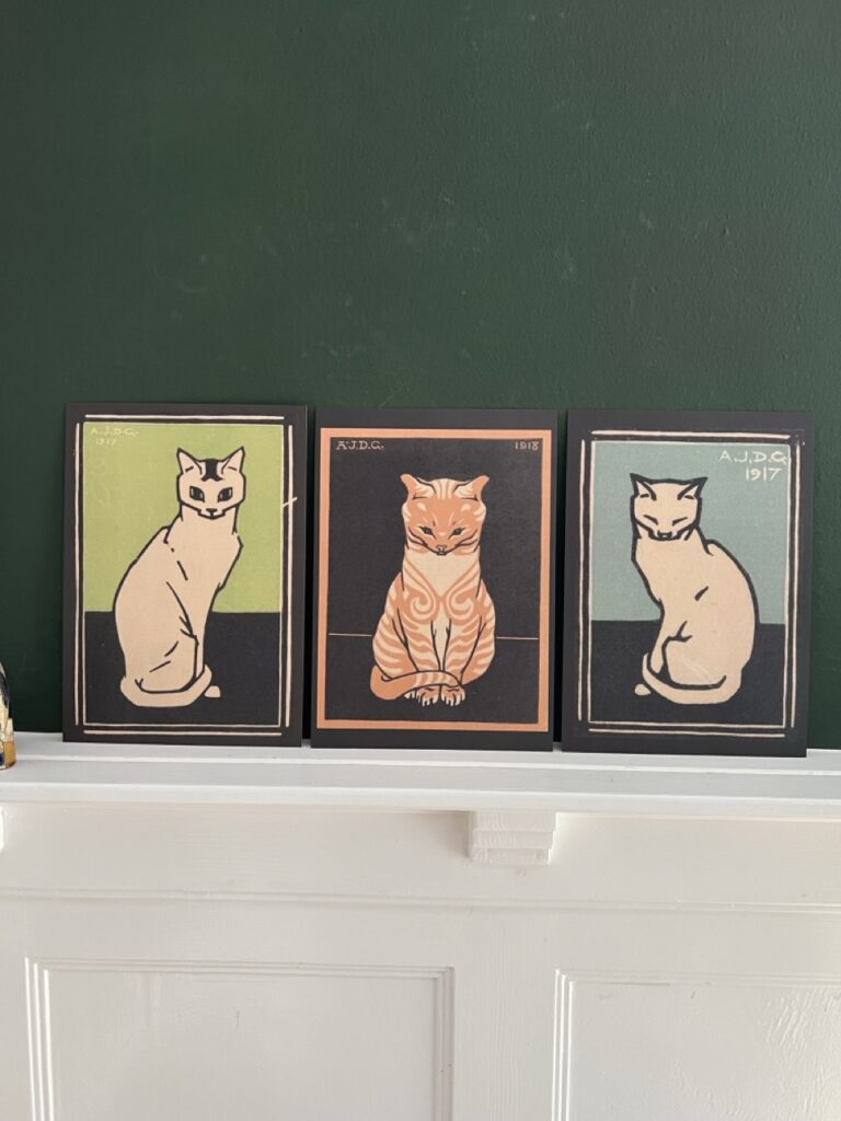 Katten Black Edition Julie de Graag
