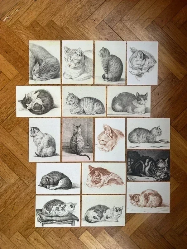 Katten – Jean Bernard – A6