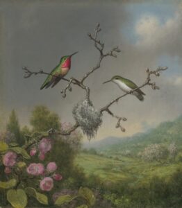 Kolibries en appelbloesem - Martin Johnson Heade