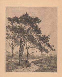 Landschap met dennenbomen - Suze de Lint