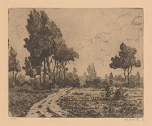 Landweg langs akkers - Suze de Lint