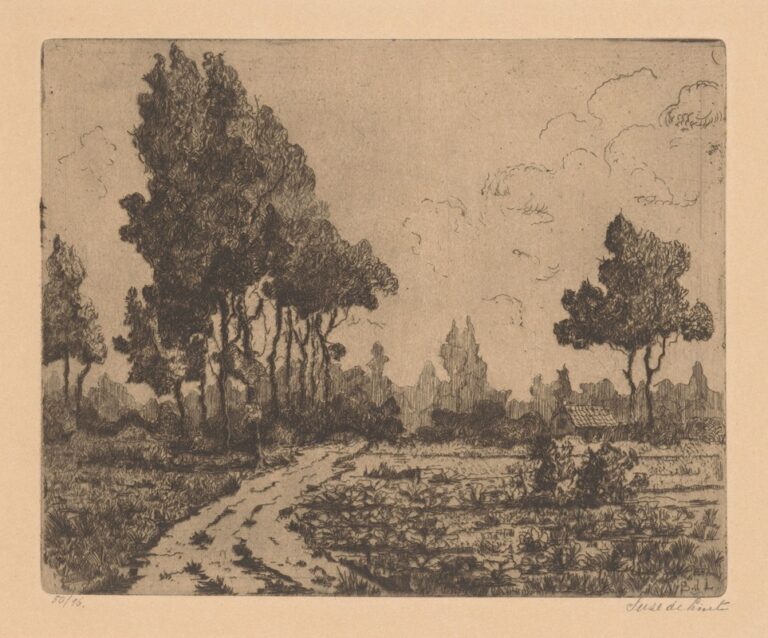 Landweg langs akkers - Suze de Lint