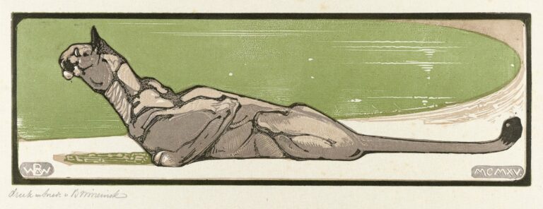 Puma - Bernard Willem Wierink