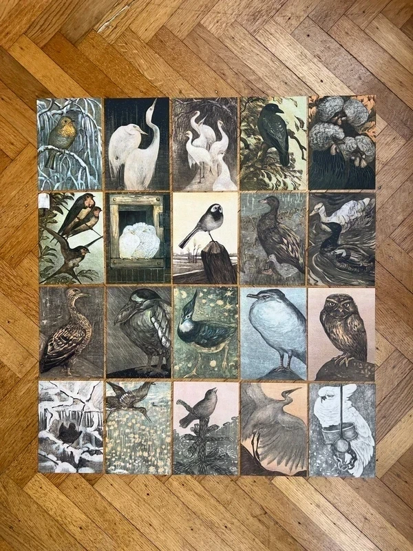 Vogels – Theo van Hoytema – A6